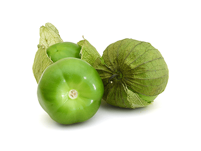 Tomatillo - Green Rendidora
