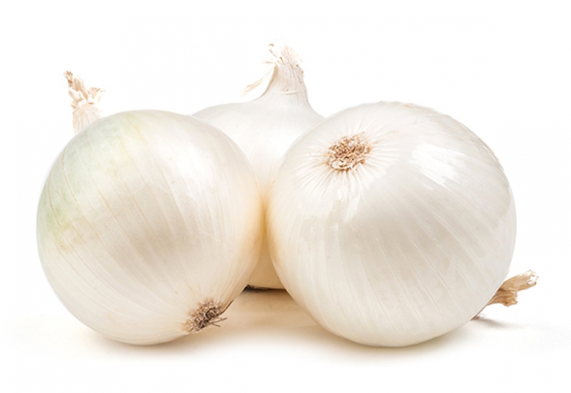 Resultado de imagen para Cebolla